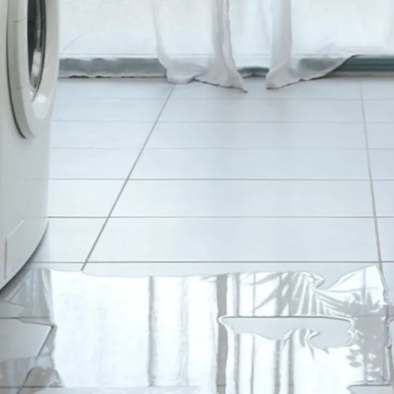 Appliance Leak Cleanup in Tipton, MO