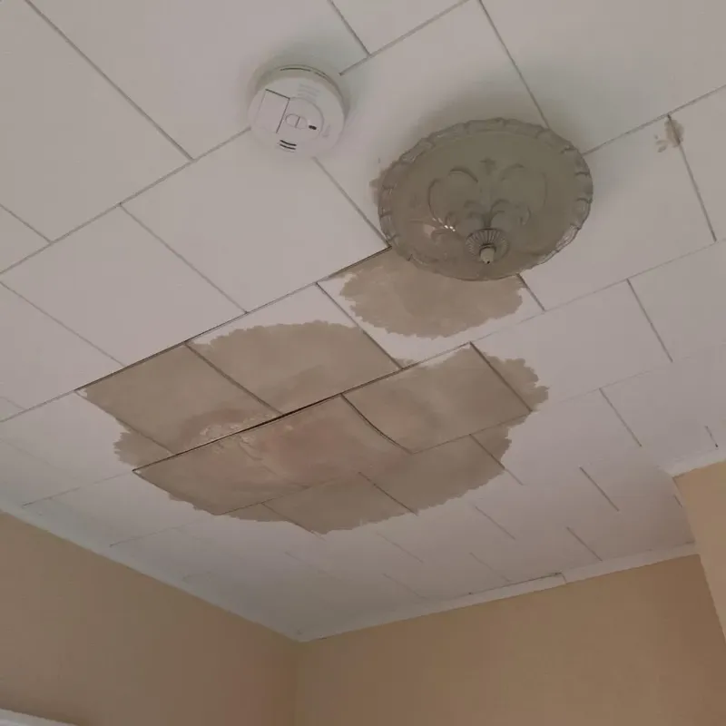 Ceiling Water Damage Repair in Tipton, MO
