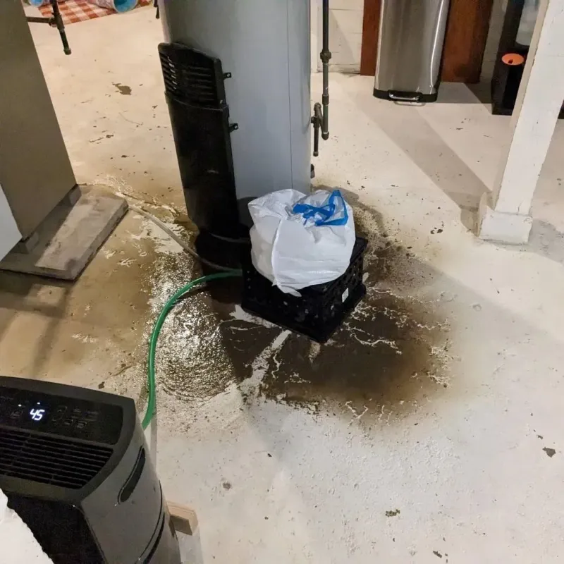 Sewage Backup Cleanup Service in Tipton, MO